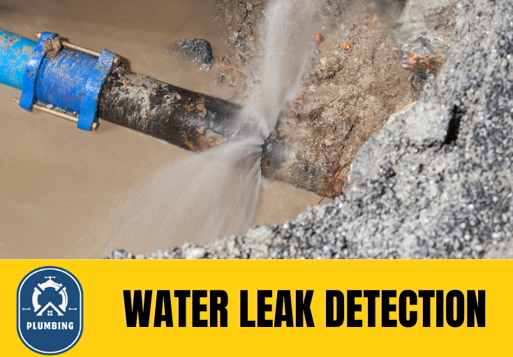 leak detection Southport